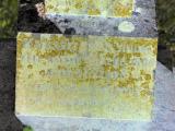 image of grave number 849762